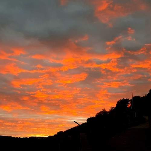 Photo #6128837