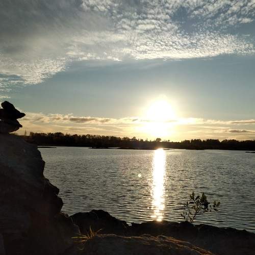 Photo #6128917