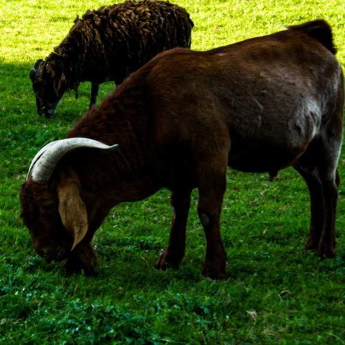 Photo #6128920