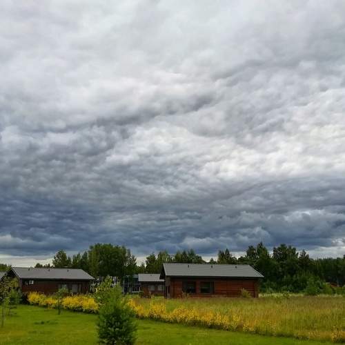 Photo #6128930