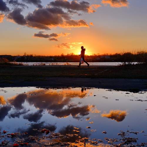 Photo #6129046