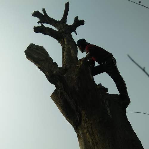 Photo #6129070