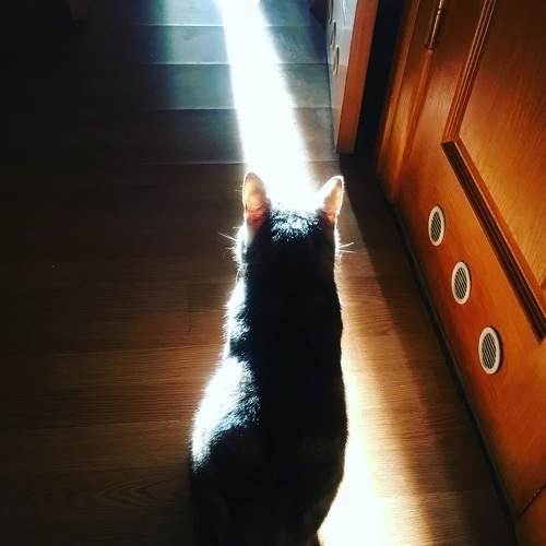 Photo #6129083