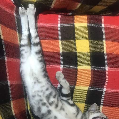 Photo #6129095