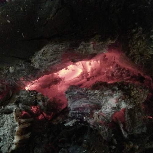 Photo #6129118