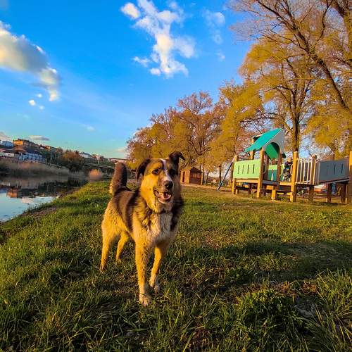 Photo #6129305