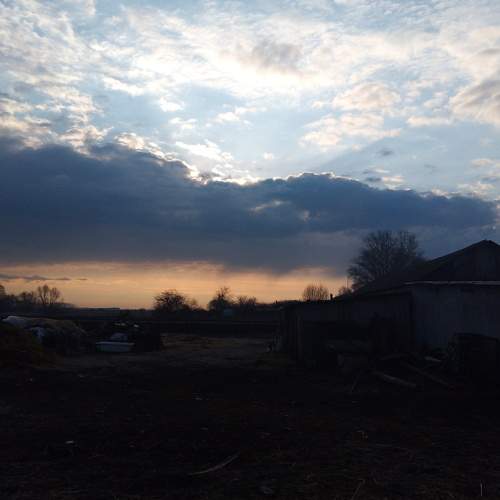 Photo #6129394