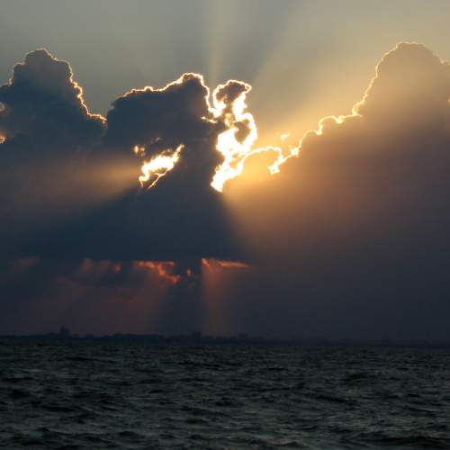 Photo #6129603