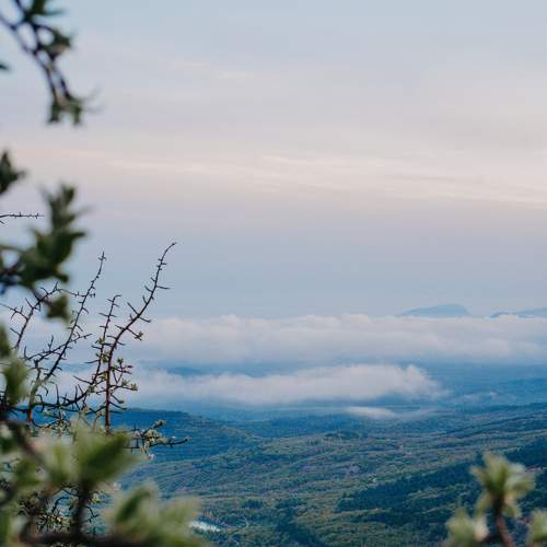 Photo #6129870