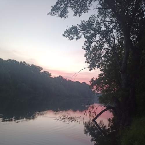 Photo #6129982