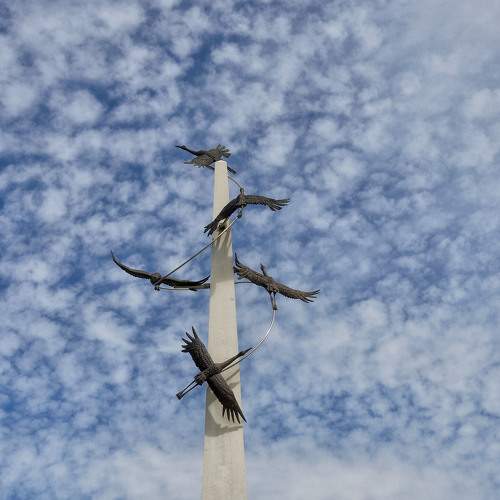 Photo #6129999