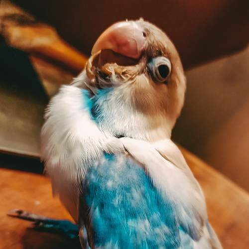 Photo #6130041