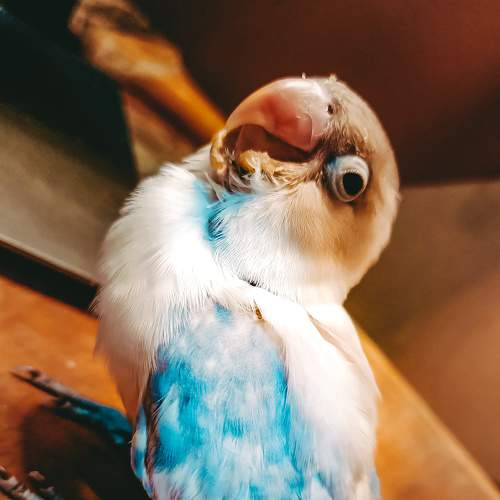 Photo #6130042