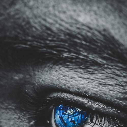 Photo #6130068