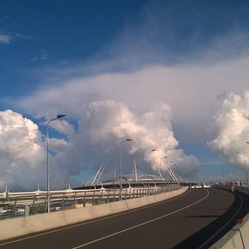 Photo #6130283