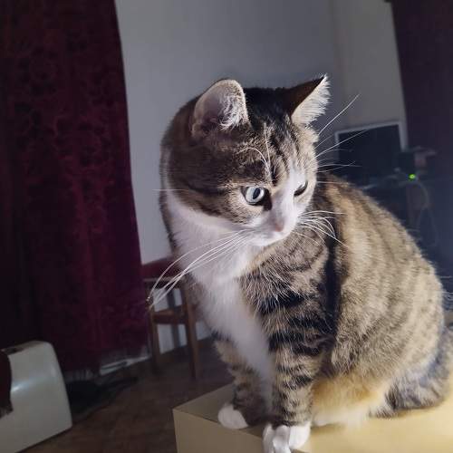 Photo #6130331
