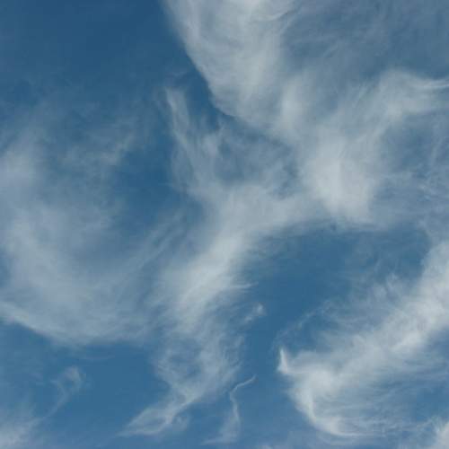 Photo #6130393