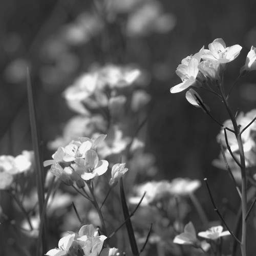 Photo #6130417