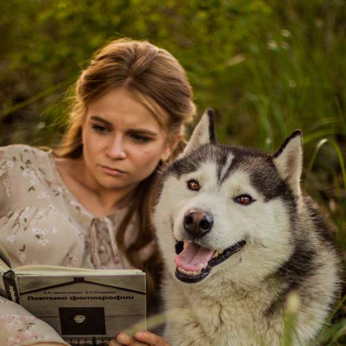 Photo #6130419