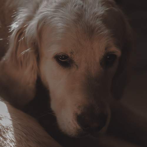 Photo #6130542