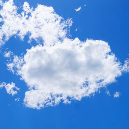 Photo #6130574