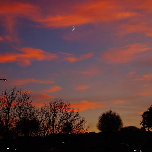 Photo #6130576