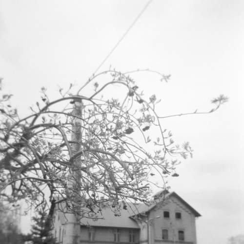 Destillery
