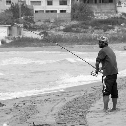 Photo #6130763