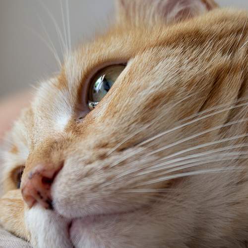 Photo #6130922