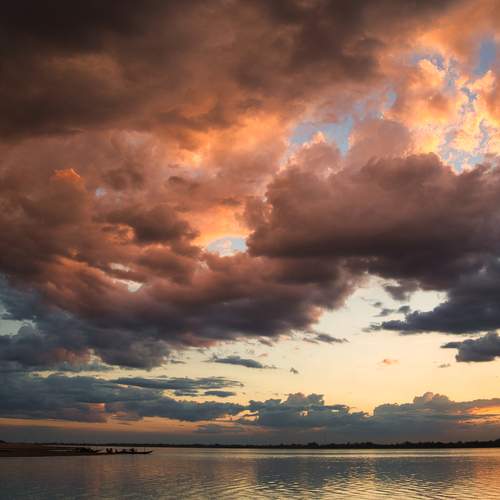 Photo #6131282
