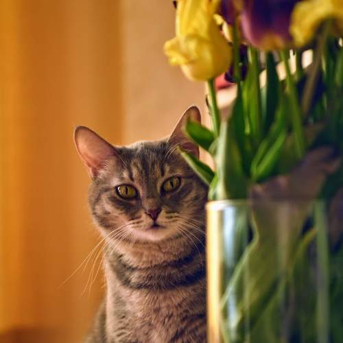 Photo #6131465