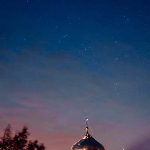 Photo #6131487