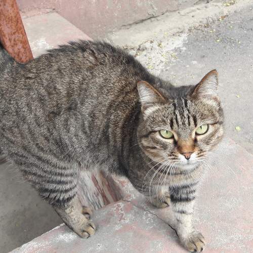 Photo #6131638