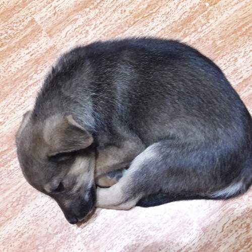 Photo #6131648