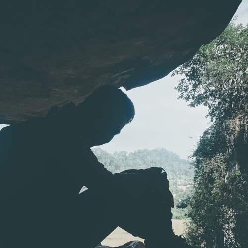 Photo #6131690
