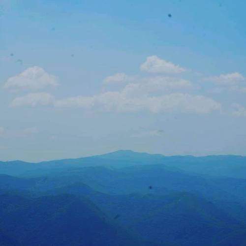 Photo #6131727