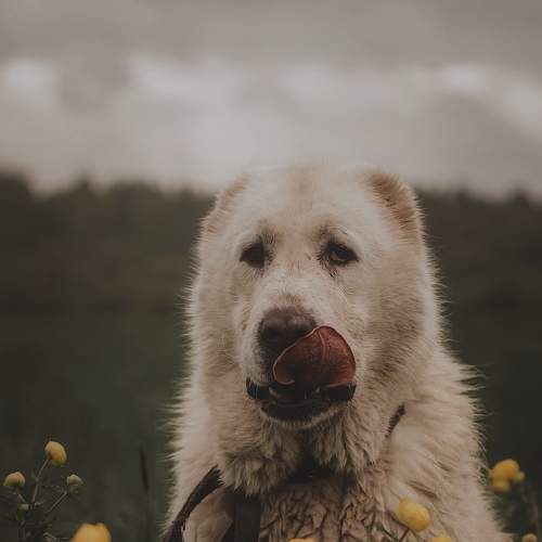 Photo #6131770