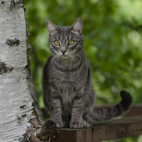 Photo #6131810