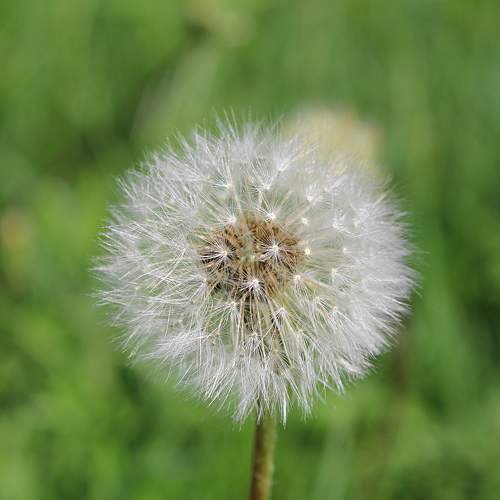 Photo #6132051