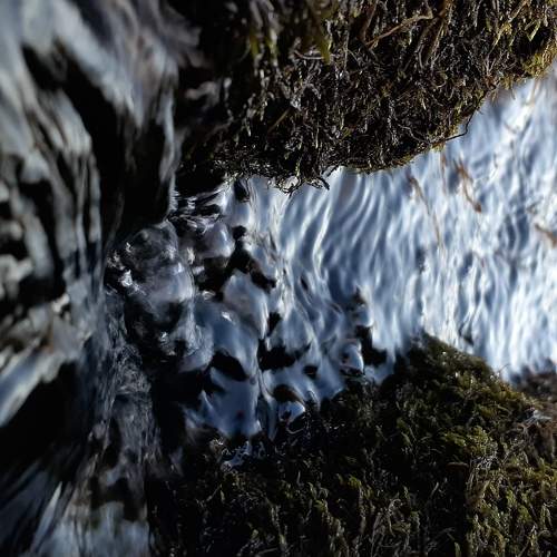 Photo #6132117