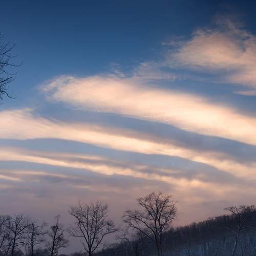 Photo #6132296
