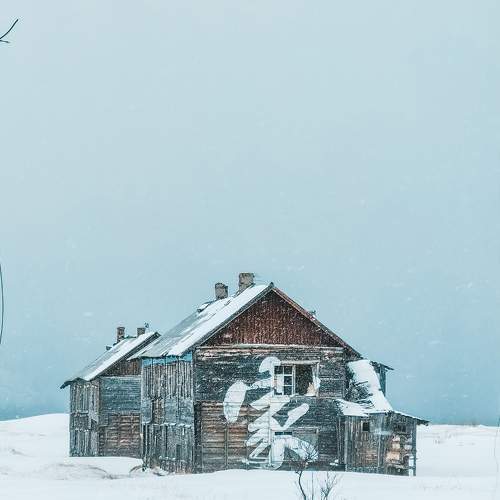 Photo #6132512