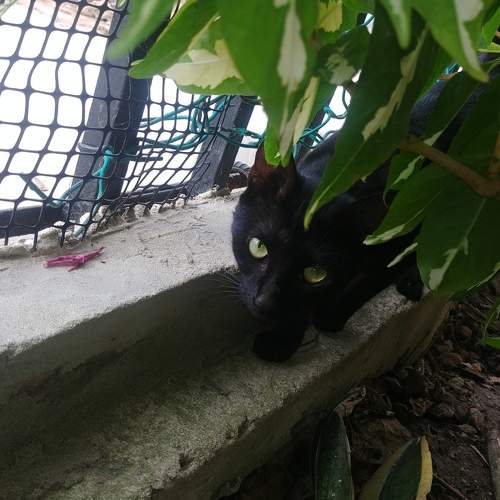 Photo #6132521