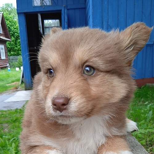 Photo #6132572