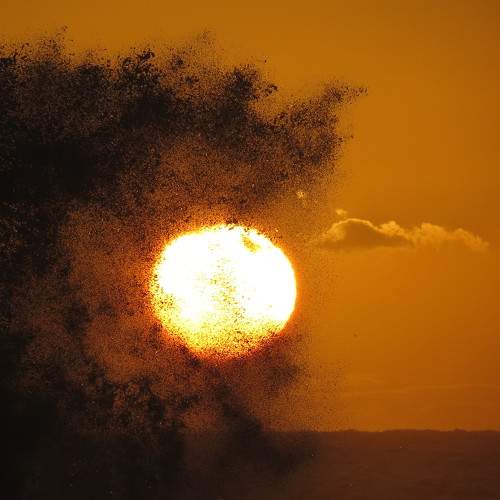 Photo #6132590