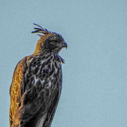 Photo #6132600