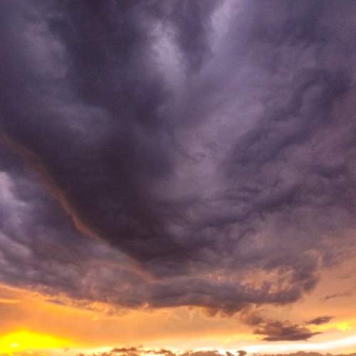 Photo #6132618