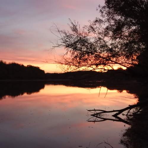Photo #6133244