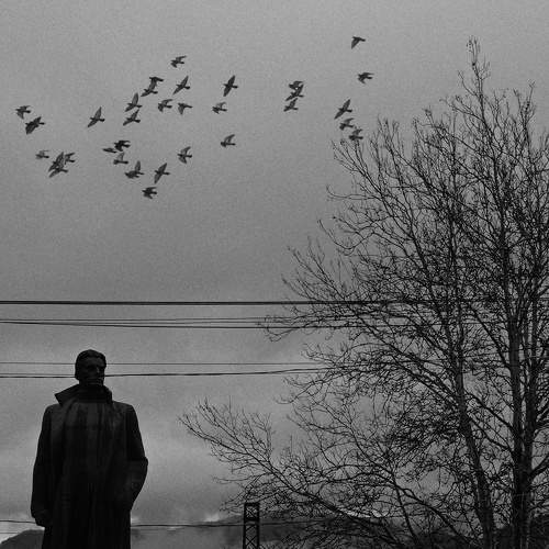 Photo #6133450