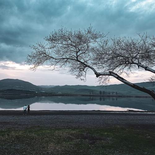 Photo #6133453